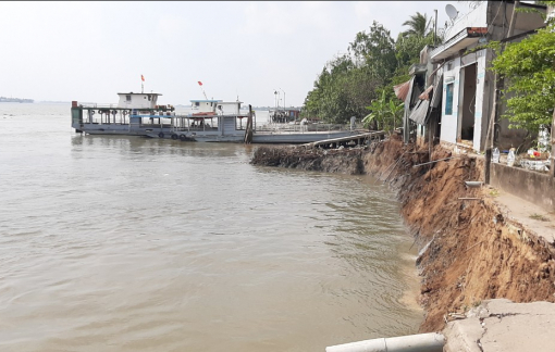 Sông Hậu lở, cây đổ làm 10 người trên phà rớt xuống sông