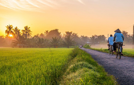 Chào cha mẹ, con phải vào phố đi “cày”