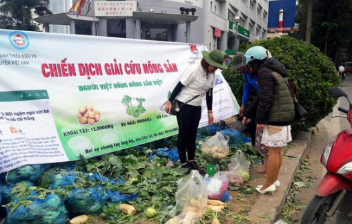 Người Hải Dương khắp nơi kêu gọi giải cứu nông sản giúp tỉnh nhà
