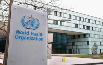 WHO đồng ý bồi thường cho các tác dụng phụ nghiêm trọng của vắc-xin từ chương trình COVAX