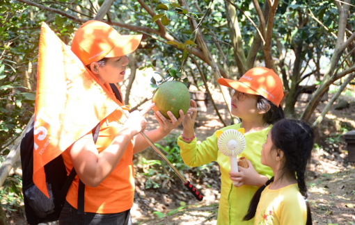 Tour vài người - cách doanh nghiệp du lịch tồn tại trong dịch