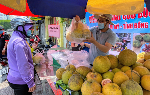 Hàng trăm tấn bưởi đào đổ về TPHCM chờ giải cứu