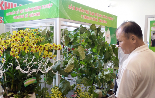 Lý giải nền nông nghiệp tỷ USD của TPHCM