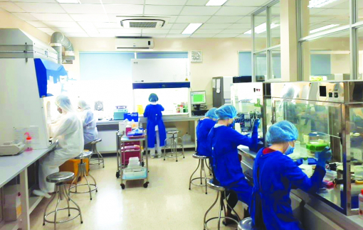Những người Việt giải mã được bộ gen SARS-CoV-2