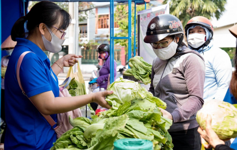 30 phút bán hết 2 tấn rau