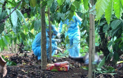 Đắk Lắk: Nửa thi thể nam giới được phát hiện trong rẫy cà phê