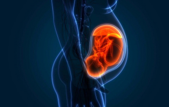 SARS-CoV-2 có thể lây qua nhau thai và đột biến ngay trong cơ thể trẻ sơ sinh