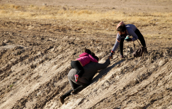 Mỹ bắt giữ 4.500 người di cư trong một ngày