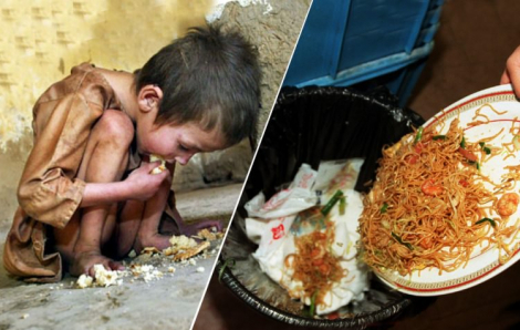 Con người vứt đi gần một tỷ tấn thực phẩm thừa mứa mỗi năm