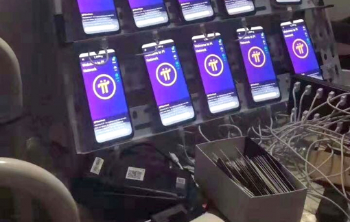 Đào tiền ảo pi, liệu “chỉ có được, không có mất”?