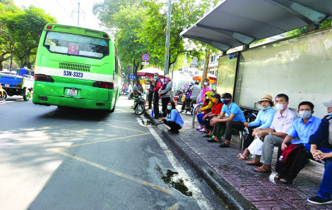 TPHCM mong ngày xe buýt mini được lăn bánh