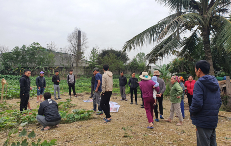Nghệ An: Cây héo khô, người dân yêu cầu nhà máy phân bón dừng hoạt động