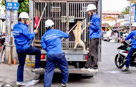 Chó cắn chết người, bao giờ chấm dứt?