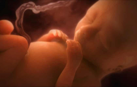 Mang thai bằng tử cung nhân tạo: Nên hay không?