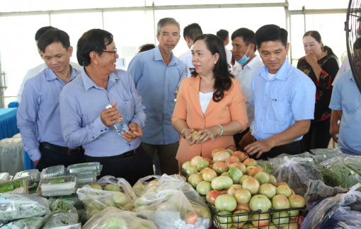Liên kết để xây dựng nền nông nghiệp đô thị phát triển nhanh, mạnh