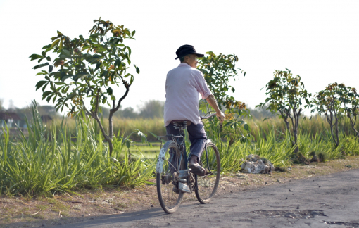 Bao lâu rồi bạn chưa chụp hình với cha?