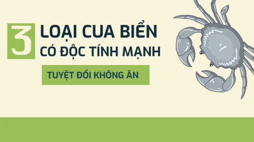 [Infographic] 3 loại cua biển có độc tính mạnh ở Việt Nam