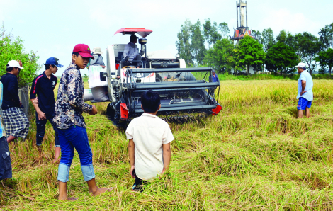 Săn chuột đồng ở miền Tây có gì thú vị?