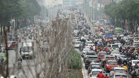 45 cây phong lá đỏ đã chết, 217 cây còn lại héo lá, khô cành