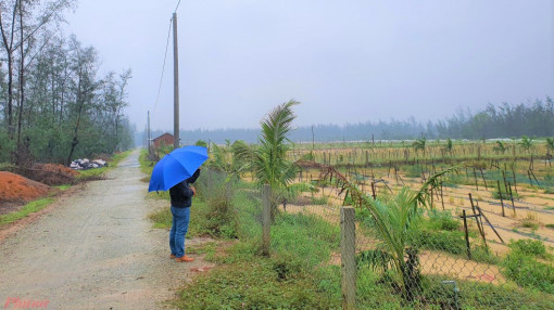 Quảng Ngãi cho Công ty Phát Đạt nghiên cứu dự án, nguy cơ xóa sổ hàng trăm hecta rừng