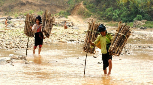 Mẹ cõng củi về nhà