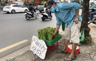 Măng tây giá rẻ tràn xuống lề đường