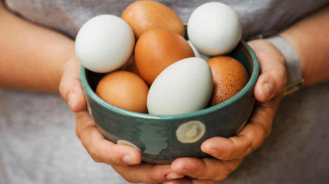 Trứng gà có bổ hơn trứng vịt, trứng ngỗng?