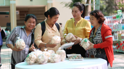 Giai đoạn 2020-2025: Hỗ trợ một triệu phụ nữ làm kinh tế