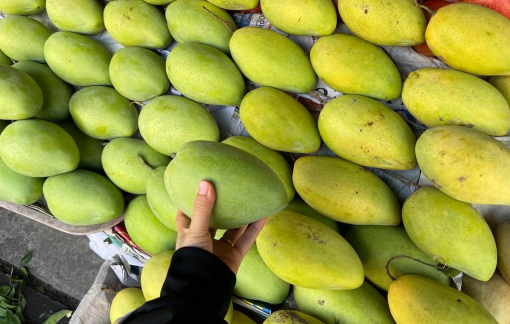 Hàng dội chợ, trái cây rớt giá