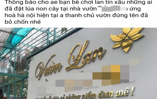 Thông tin mới vụ chủ vườn lan đột biến nghi “ôm 11 tỷ đồng rồi bỏ trốn”