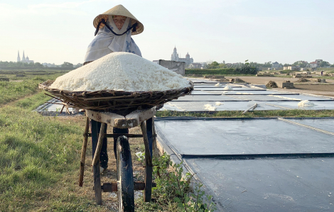 Làm rõ vụ hợp tác xã ở Nghệ An “ngâm” hơn nửa tỷ tiền hỗ trợ diêm dân