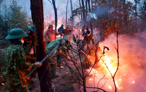 Kế hoạch mua đất bằng “lửa” khiến 57 hecta rừng bị thiêu rụi của lão nông Nghệ An