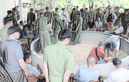 Quảng Bình: Triệt phá "sới" gà “khủng”, tạm giữ 34 đối tượng