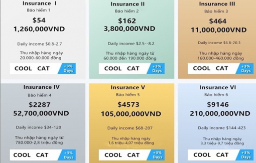 App Coolcat ngừng truy cập, gần 20.000 nhà đầu tư lo mất trắng tiền