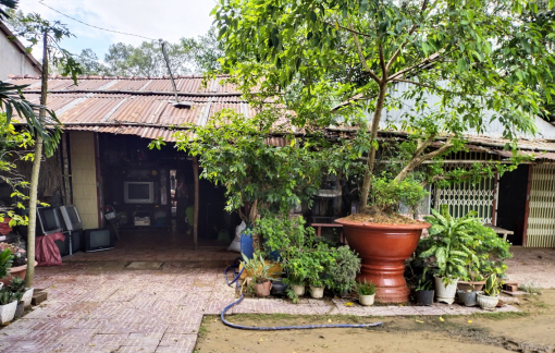 19 năm, 6 bản án, vụ tranh chấp 250m2 đất vẫn chưa ngã ngũ