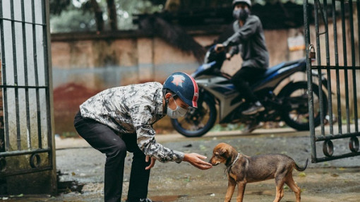 Cần thay đổi cách xác định giá trị vật nuôi để ngăn trộm chó