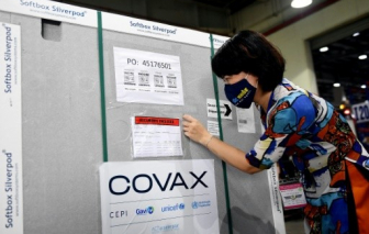 WHO kêu gọi G7 đẩy mạnh hỗ trợ chống dịch COVID-19