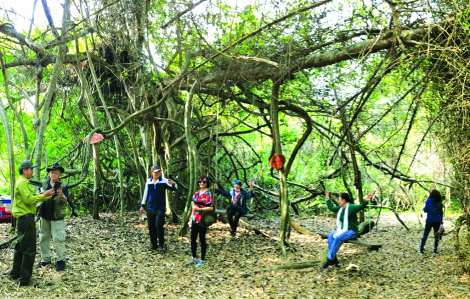 Trên thượng nguồn sông Vàm Cỏ