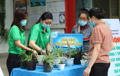 Tạo mảng xanh cho chung cư