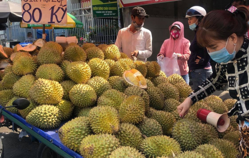 Sầu riêng, vải, mận Hà Nội... đầu mùa giá rẻ hơn mọi năm