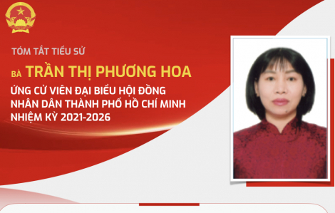 [Infographic] Tiểu sử và chương trình hành động của bà Trần Thị Phương Hoa