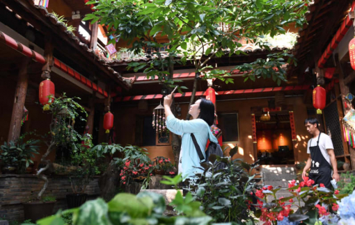 Du lịch nông thôn Trung Quốc phát triển mạnh giữa đại dịch COVID-19