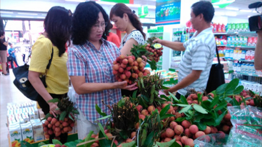 Nhiều siêu thị công bố tăng lượng vải thiều tiêu thụ