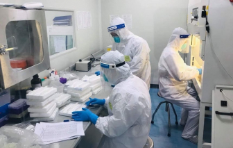 31 mẫu COVID-19 tại Bệnh viện K và 6 địa phương mang biến thể Ấn Độ, Anh