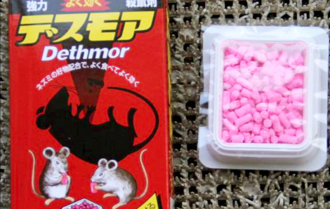Nguy hiểm thuốc diệt chuột hình viên kẹo bán khắp nơi