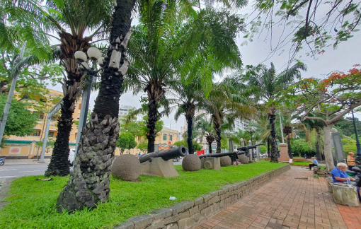 Nhìn lại 178 cây xanh trước ngày đốn hạ, di dời ở công viên Bạch Đằng