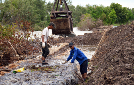 Giá vật liệu xây dựng tăng bất thường, Cà Mau “cầu cứu” Thủ tướng Chính phủ