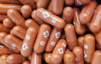 Các công ty dược tìm giải pháp thay thế cho vắc-xin COVID-19