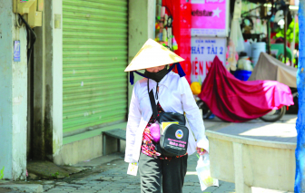 Hành trình “di cư ngược” trong đại dịch