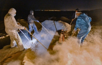 Peru đứng đầu thế giới về tỷ lệ tử vong do COVID-19